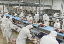 Agroindustria argentina: récord de exportaciones y más presencia en el mundo