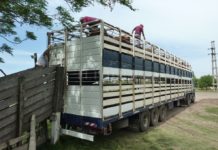 Jornada de formación técnica en Bienestar Animal en Rafaela 🗓