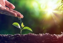 Llega el 1° Congreso de Biológicos del Centro-Norte Argentino 🗓