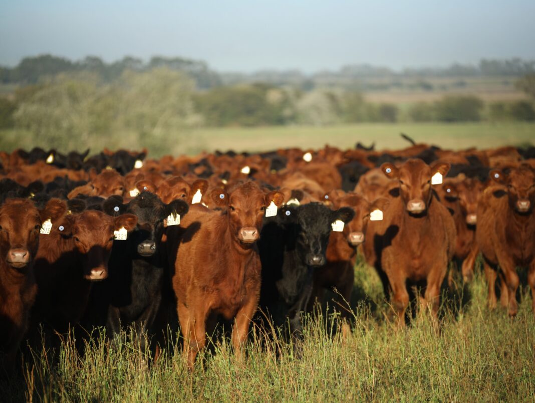 Agtech