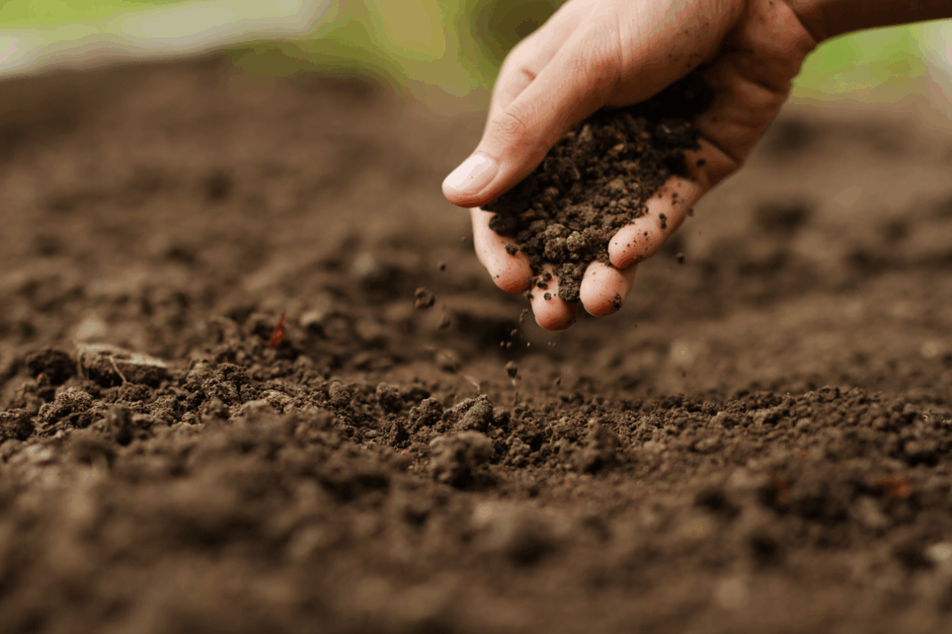 Syngenta_agricultura regenerativa_ png
