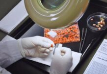 Aconsejan evaluar la viabilidad de las semillas para definir el éxito del ciclo