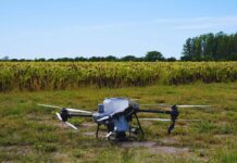 INTA Reconquista: reducen con drones el uso de nitrógeno