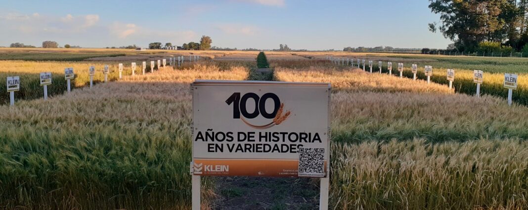 criadero-klein