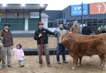 Ingresaron los primeros ejemplares a Palermo 2026