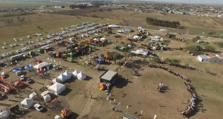 expo tostado