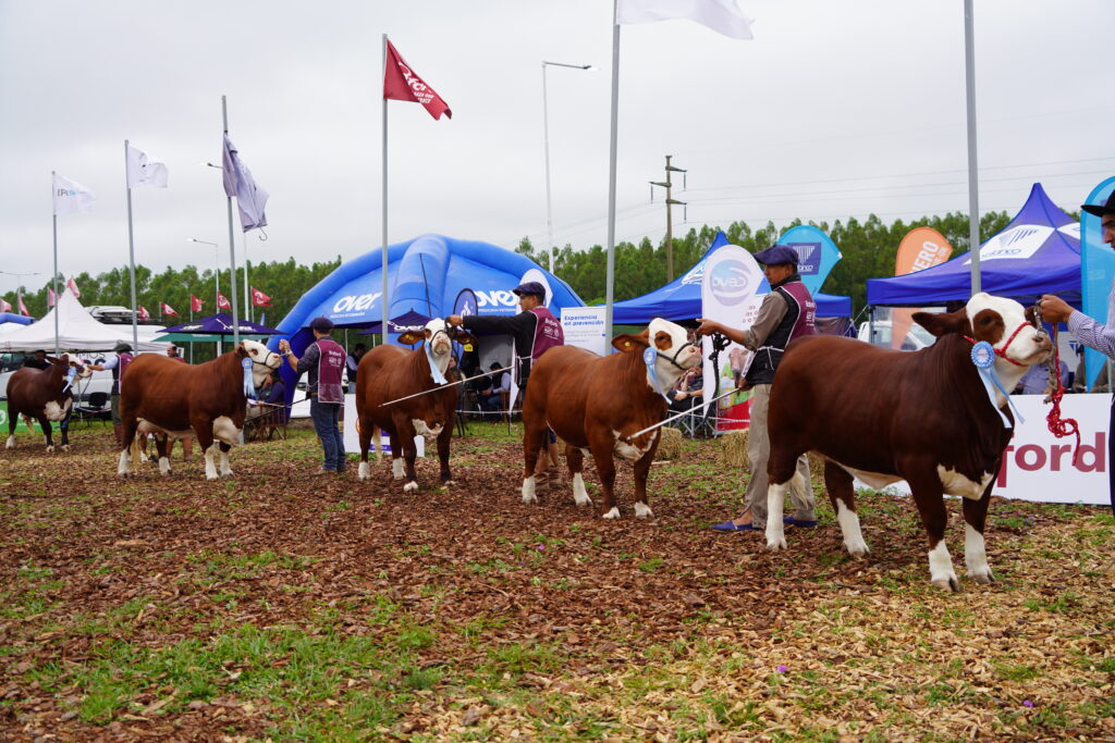 DSC00169-1024x683